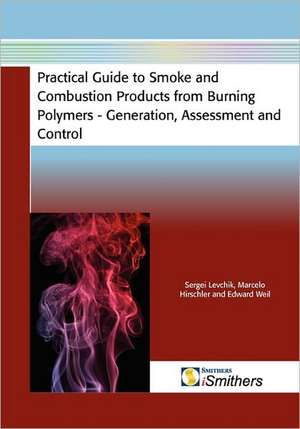 Practical Guide to Smoke and Combustion from Burning Polymers - Generation, Assessment and Control de Sergei Levchik