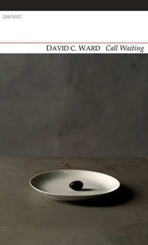 Call Waiting de David C. Ward