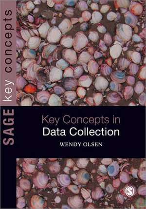 Data Collection: Key Debates and Methods in Social Research de Wendy Olsen