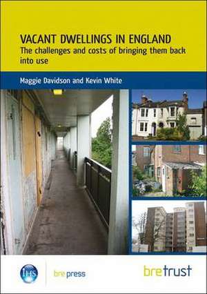 Vacant Dwellings in England: The Challenges and Costs of Bringing Them Back Into Use (Fb 25) de M. Davidson