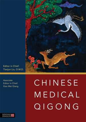 Chinese Medical Qigong de Tianjun Liu