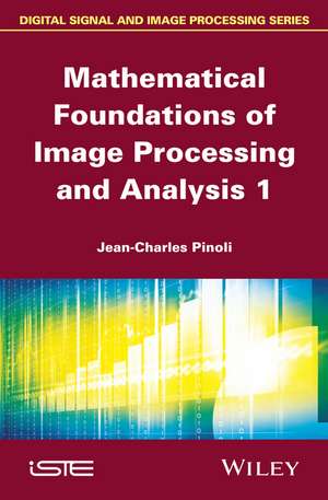 Mathematical Foundations of Image Processing and Analysis V 1 de JC Pinoli