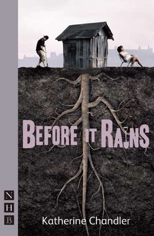 Before It Rains de Katherine Chandler