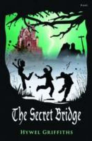 The Secret Bridge de Hywel Griffiths