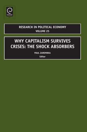 Why Capitalism Survives Crises – The Shock Absorbers de Paul Zarembka