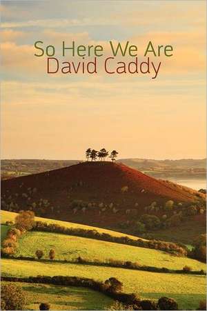 So Here We Are de David Caddy