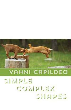 Simple Complex Shapes de Vahni Capildeo