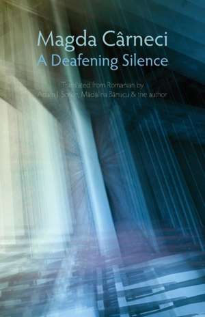 A Deafening Silence de Magda Carneci