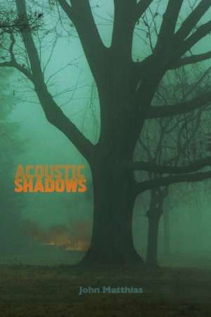 Acoustic Shadows de John Matthias