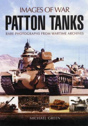 Patton Tanks: The American Raids on 17 August 1943 de Michael Green