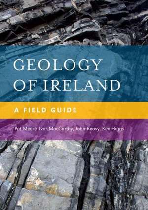 Geology of Ireland de Pat Meere