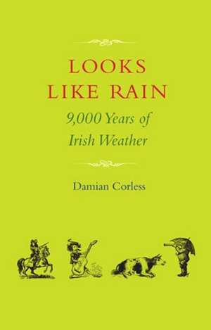 Looks Like Rain de Damian Corless