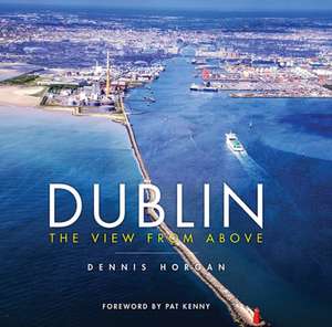 Dublin the View from Above: Where Miracles Happen de Dennis Horgan