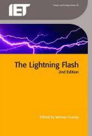 The Lightning Flash de Vernon Cooray