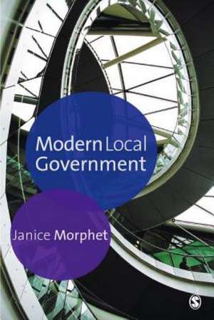 Modern Local Government de Janice Morphet