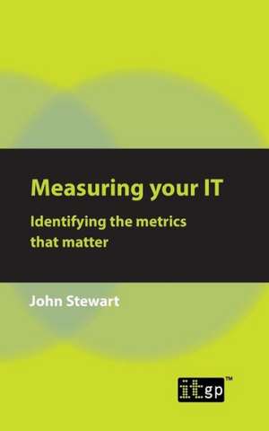 Measuring Your IT: Identifying the Metrics That Matter de John Stewart