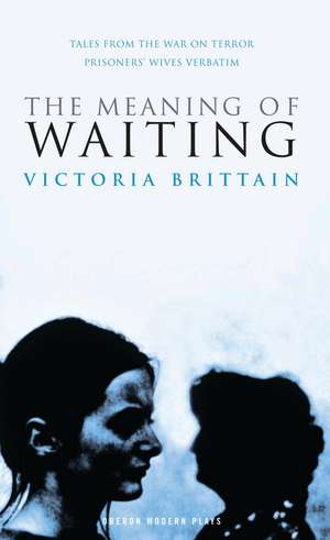 The Meaning of Waiting de Victoria Brittain