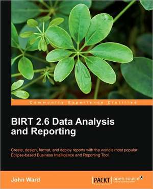 Birt 2.5 Data Analysis and Reporting de John Ward