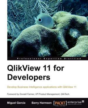 Qlikview 11 Developer's Guide de B. Harmsen