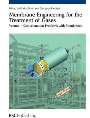 Membrane Engineering for the Treatment of Gases: Gas-Separation Problems with Membranes de Enrico Drioli