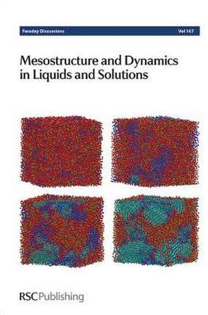 Mesostructure and Dynamics in Liquids and Solutions: Faraday Discussion 167 de Royal Society of Chemistry