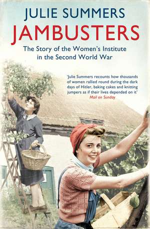 Jambusters: The remarkable story which has inspired the ITV drama Home Fires de Julie Summers