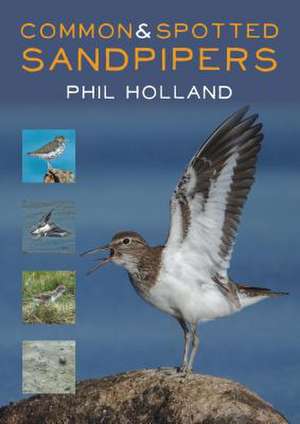 Common and Spotted Sandpipers de Phil Holland