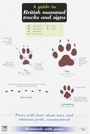 A Guide to British Mammal Tracks and Signs de Simone Bullion