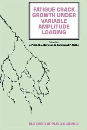 Fatigue Crack Growth Under Variable Amplitude Loading de J. Petit