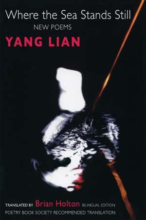 Where the Sea Stands Still: New Poems de Lian Yang