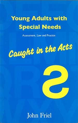 Young Adults with Special Needs: Assessment, Law and Practice - Caught in the Acts de Ph. D. Friel, John