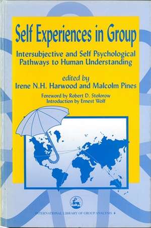 Self Experiences in Group: Intersubjective and Self Psychological Pathways to Human Understanding de Irene Harwood