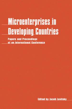 Microenterprises in Developing Countries de Jacob Levitsky