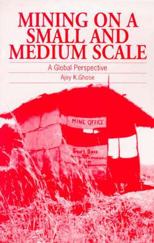 Mining on a Small and Medium Scale: A Global Perspective de Ajoy K. Ghose