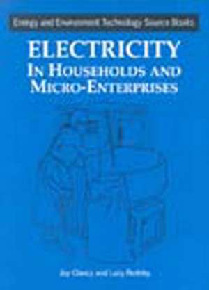 Electricity in Households and Microenterprises de Joy Clancy