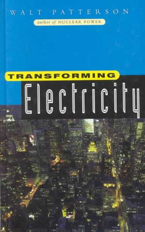 Transforming Electricity de Walt Patterson