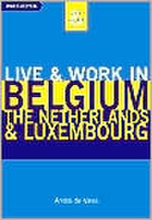 Live and Work in Belgium, the Netherlands and Luxembourg de Andre De Vries