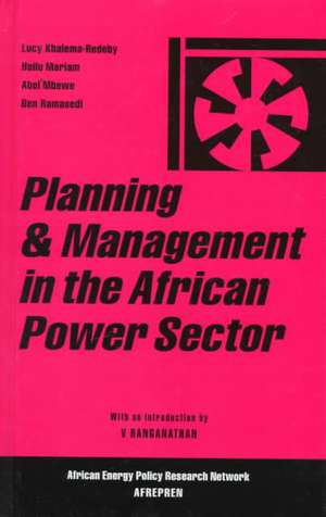 Planning and Management in the African Power Sector de Lucy Khalema-Redeby