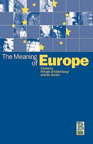 The Meaning of Europe de Mikael af Malmborg