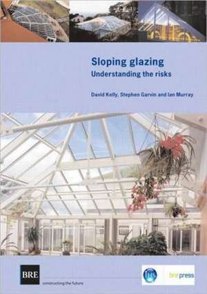 Sloping Glazing: Understanding the Risks (Br 471) de David Kelly