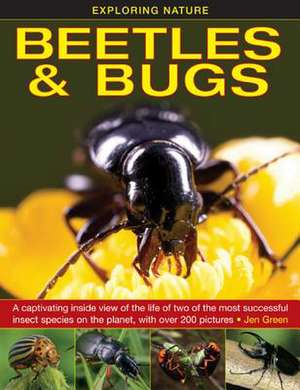 Exploring Nature: Beetles & Bugs de Jen Green