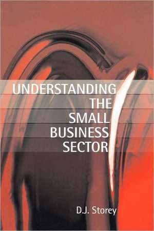 Understanding the Small Business Sector de D.J. Storey