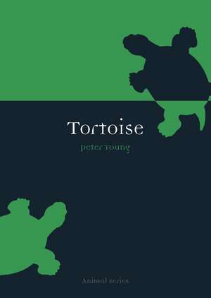 Tortoise de Peter Young