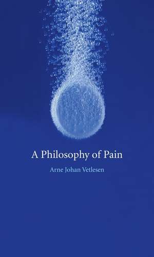 A Philosophy of Pain de Arne Vetlesen