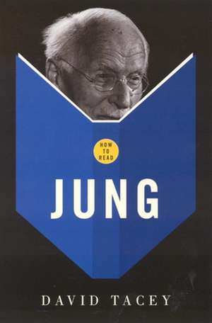 How to Read Jung de David Tacey