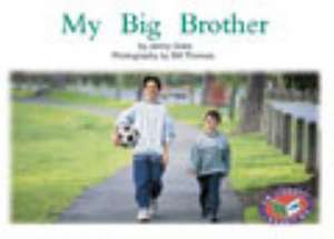 My Big Brother PM Non Fiction Level 8/9 Families Around Us Yellow de Jenny Giles