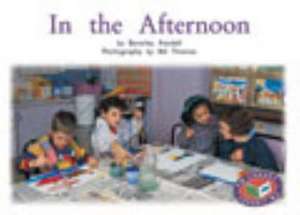 In the Afternoon PM Non Fiction Level 14&15 Time and Seasons Green de Beverley Randell