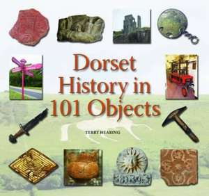 Dorset History in 101 Objects de Terry Hearing