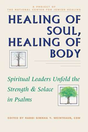 Healing of Soul, Healing of Body: Spiritual Leaders Unfold the Strength and Solace in Psalms de Sheldon Zimmerman