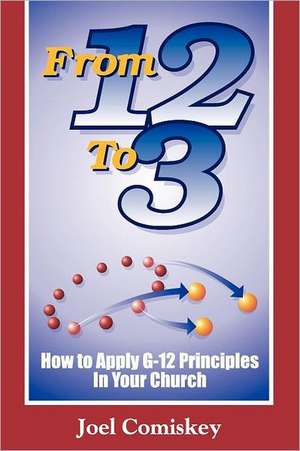 From 12 to 3: How to Apply G-12 Principles in Your Church de Joel Comiskey